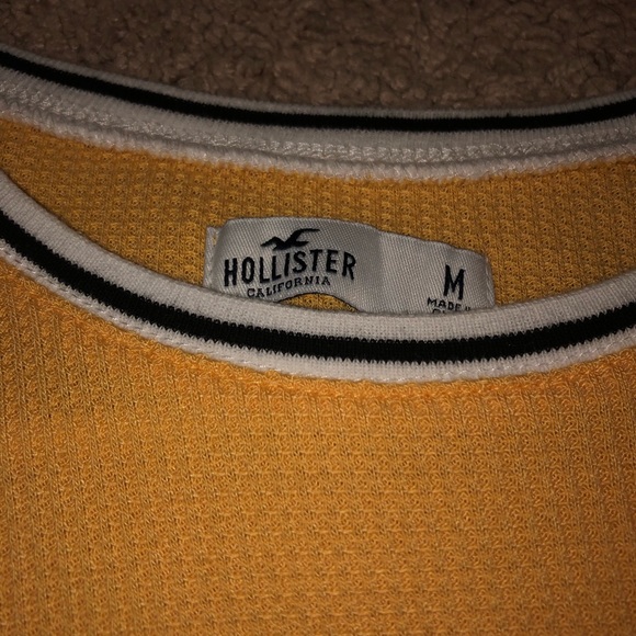 Hollister T - Picture 3 of 4